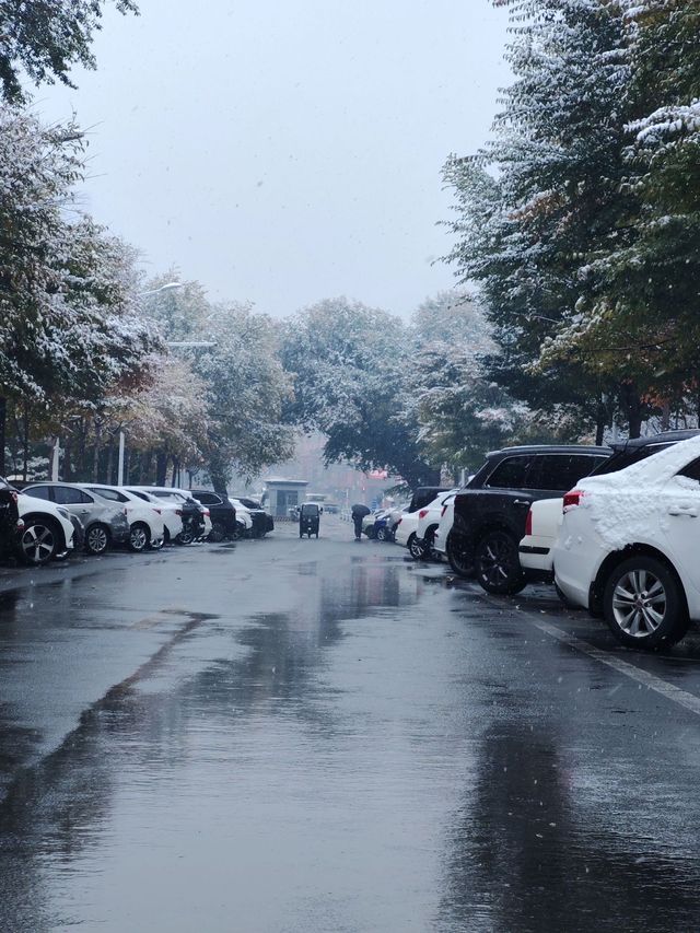冰雪童話哈爾濱，第一場雪！