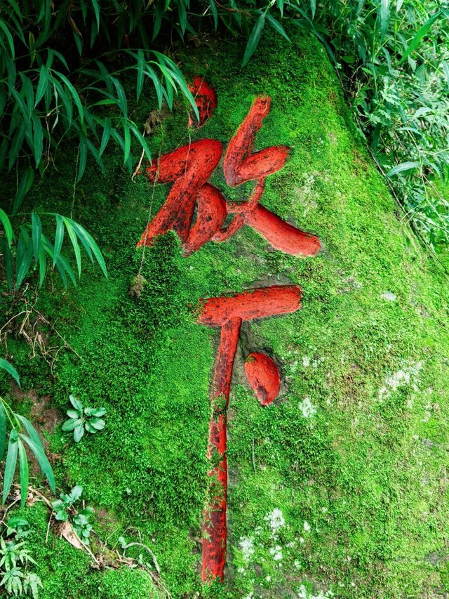 四川瀘州金龍寺藏在山間的禪意秘境 四川瀘州金龍寺藏在山間的禪意秘境
