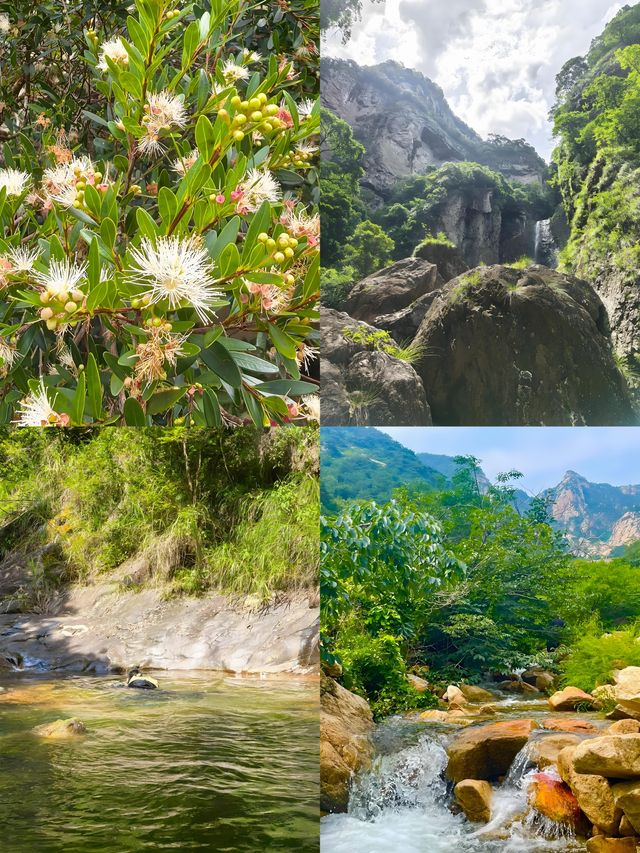 深圳避暑地圖｜從天然潭到浪騎，這條山海線封神