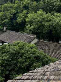 藏在九溪深處的千年禪意：理安寺漫遊記
