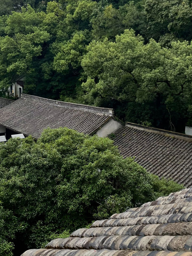 藏在九溪深處的千年禪意：理安寺漫遊記