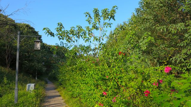 晉安丨登雲溪
