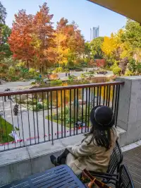 還有1個月｜魔都市區的調色盤公園即將上線
