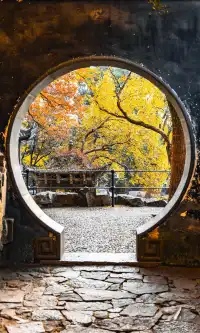 全屏封神挑戰｜已經開始期待蘇州的秋天了