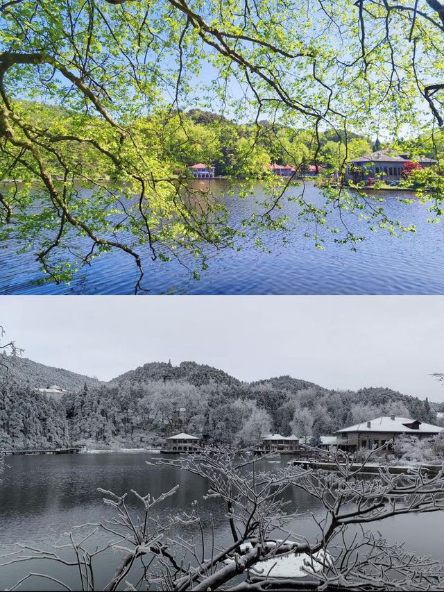 廬山腳下的秘密花園