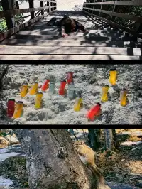 一天從香格里拉到麗江,打卡了這些地方