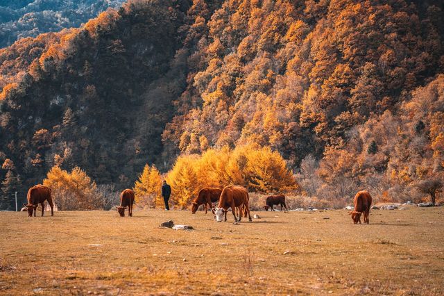 絕了！藏在邯鄲的七彩秋色仙境三條路線任你選