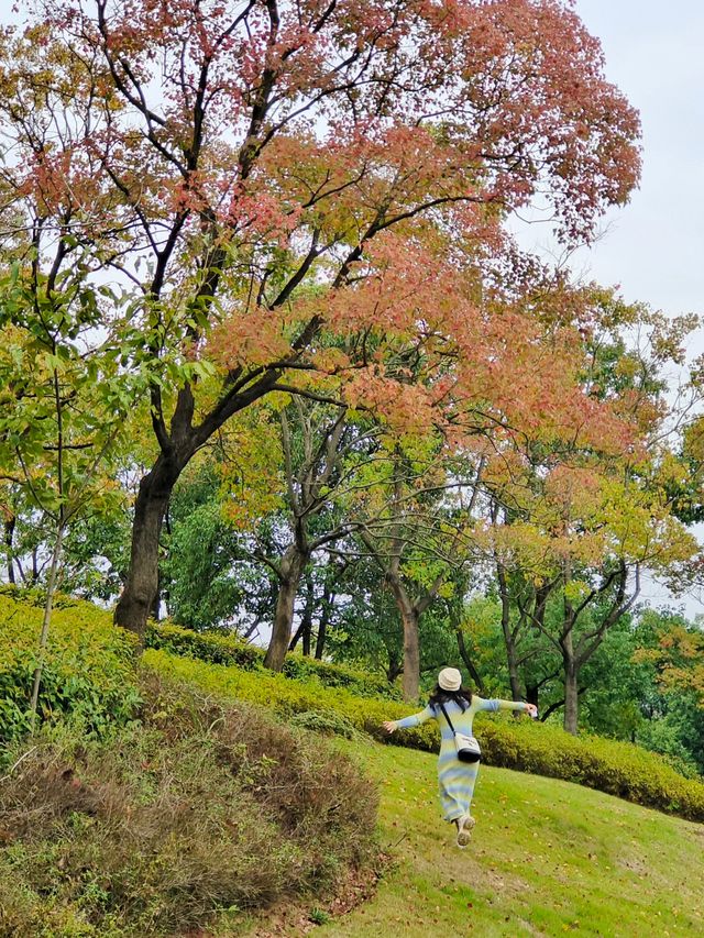 新中式審美的度假酒店！住著就是安逸！