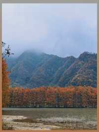 陝西絕美水上森林秋日限定版仙境風景！