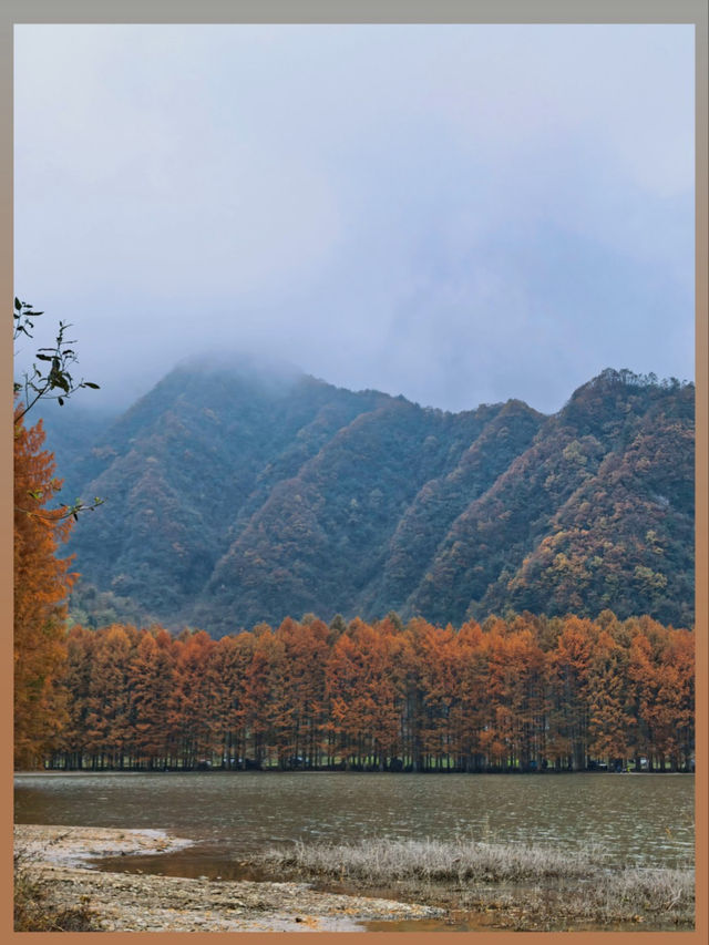 陝西絕美水上森林秋日限定版仙境風景！