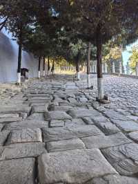 史聖故里必打卡!司馬遷祠超全遊玩攻略