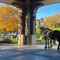  🍂 핑구 징하이호 '산에서 호수로' 당일치기 여행