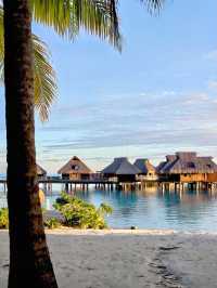 七日幻夢：我的波拉波拉漂浮日記