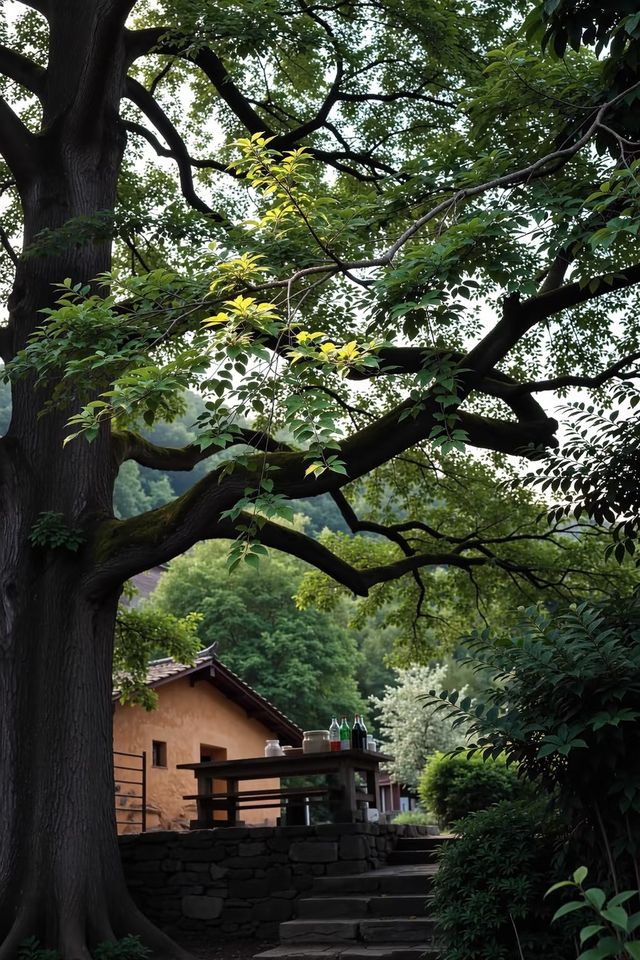 杭州臨安人少景美！指南村被我私藏了～江南版“喀納斯”超驚艷?