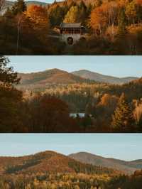 秋日遛娃私藏地！光霧山紅葉美到心巴上