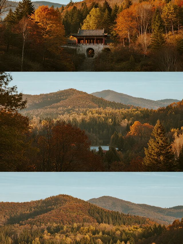 秋日遛娃私藏地！光霧山紅葉美到心巴上