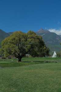 麗江秋冬必衝!阿美澤把浪漫焊在雪山