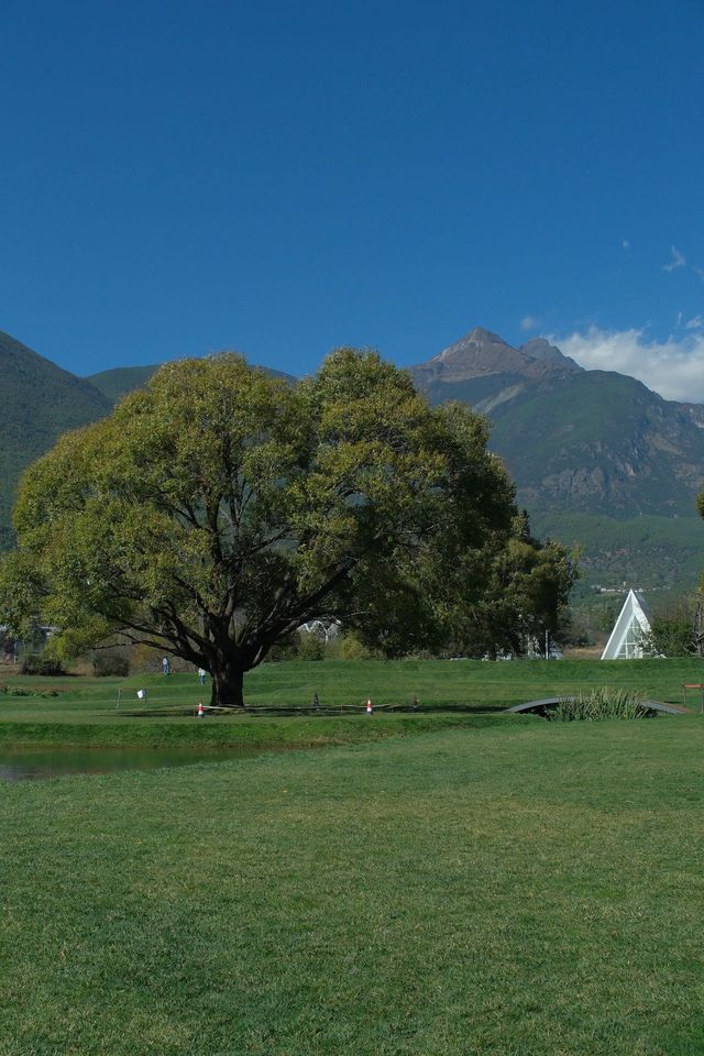 麗江秋冬必衝!阿美澤把浪漫焊在雪山 麗江秋冬必衝!阿美澤把浪漫焊在雪山