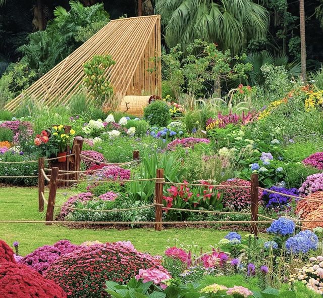 深圳仙湖花展開展啦 深圳仙湖花展開展啦