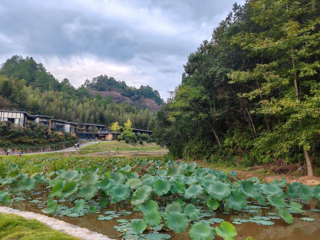泰寧李家巖 泰寧李家巖
