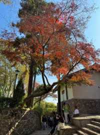 莫干山的秋！藏在古道裡的彩色秘境