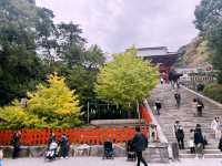 鶴岡八幡宮｜鎌倉最具代表性的神社散步路線 ⛩️🍁