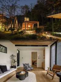 美哭了!打卡趙露思同款!竹林小屋泡湯看星