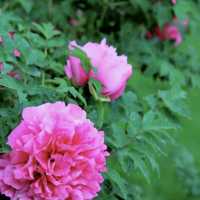 山東荷澤歡迎您