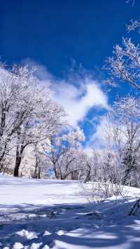 我想～沒人能拒絕冬天的阿勒泰吧！！