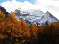 11月好去處｜秋日稻城亞丁三神山