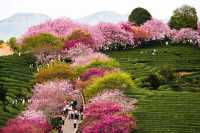 “福建最被低估的城市,去一次就上癮!”