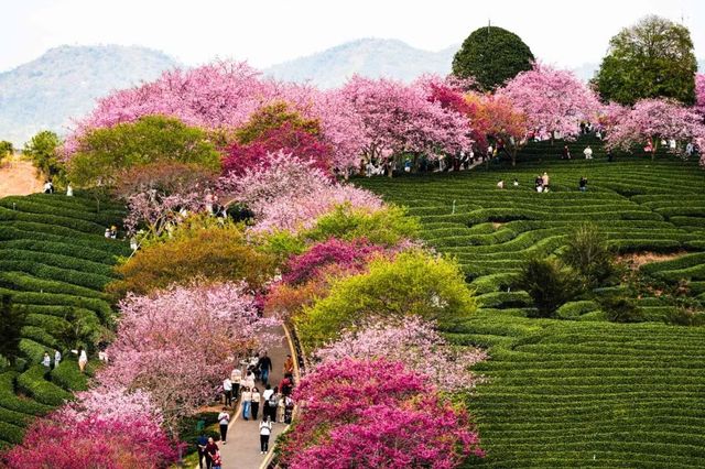 “福建最被低估的城市,去一次就上癮!” “福建最被低估的城市,去一次就上癮!”