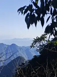 三清山的淡季青綠，比五嶽更懂打工人的放空