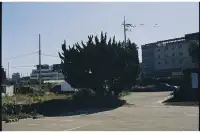 5203,海邊的風景、曝光的意外