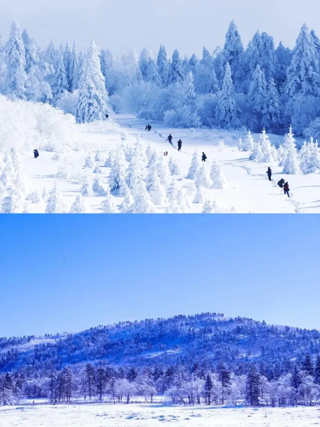 風雪大五台,有膽你就來 風雪大五台,有膽你就來