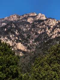 泰山|不僅一覽眾山小,更有色彩斑斕的秋