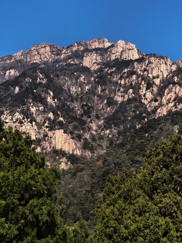 泰山|不僅一覽眾山小,更有色彩斑斕的秋 泰山|不僅一覽眾山小,更有色彩斑斕的秋