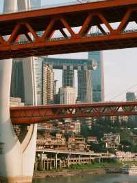 重慶奉節親子遊，紅葉季的趣味自然課堂