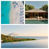 在安缦尋覓冬日暖陽