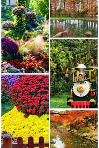 超全攻略!冬日共青森林公園賞秋絕了