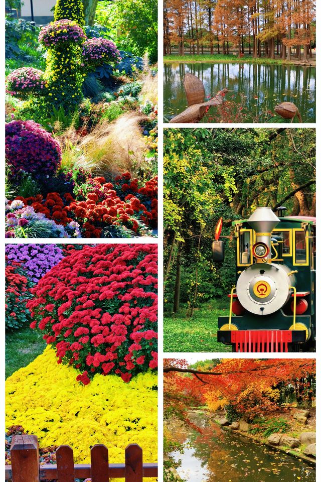 超全攻略!冬日共青森林公園賞秋絕了 超全攻略!冬日共青森林公園賞秋絕了