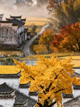The late autumn in Southern Anhui is stunning, miss it and you'll have to wait another year!