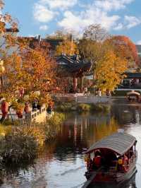 現在正是時候！銀杏全黃了！抓緊衝