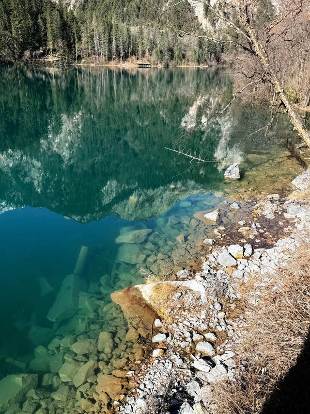 九寨歸來不看水，這句話我算是信了！
