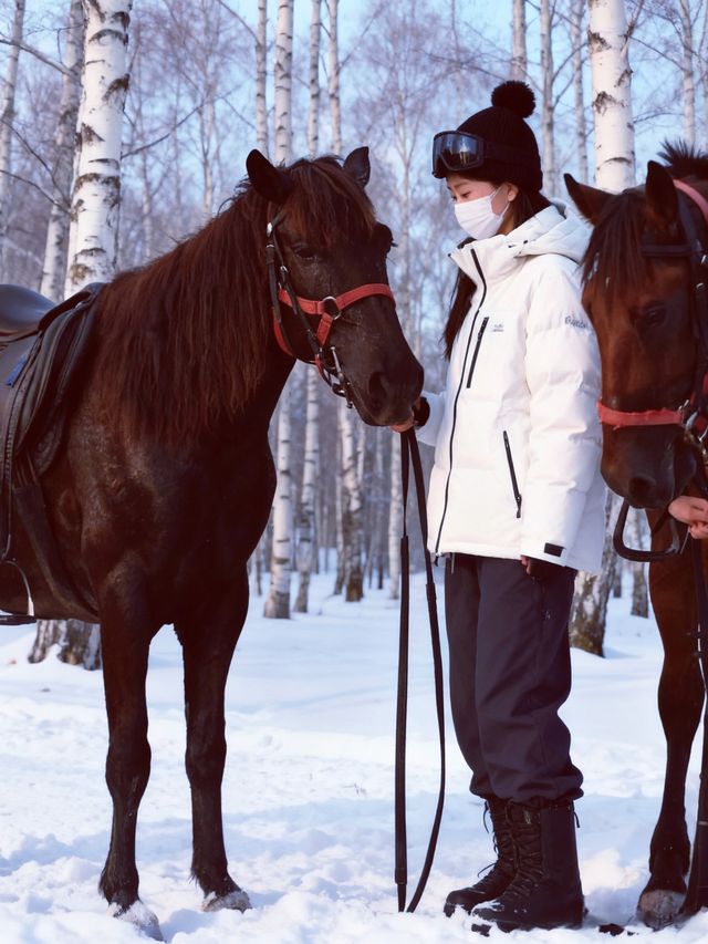 亞布力寶藏馬場冬季馳騁滑雪暖屋全搞定 亞布力寶藏馬場冬季馳騁滑雪暖屋全搞定