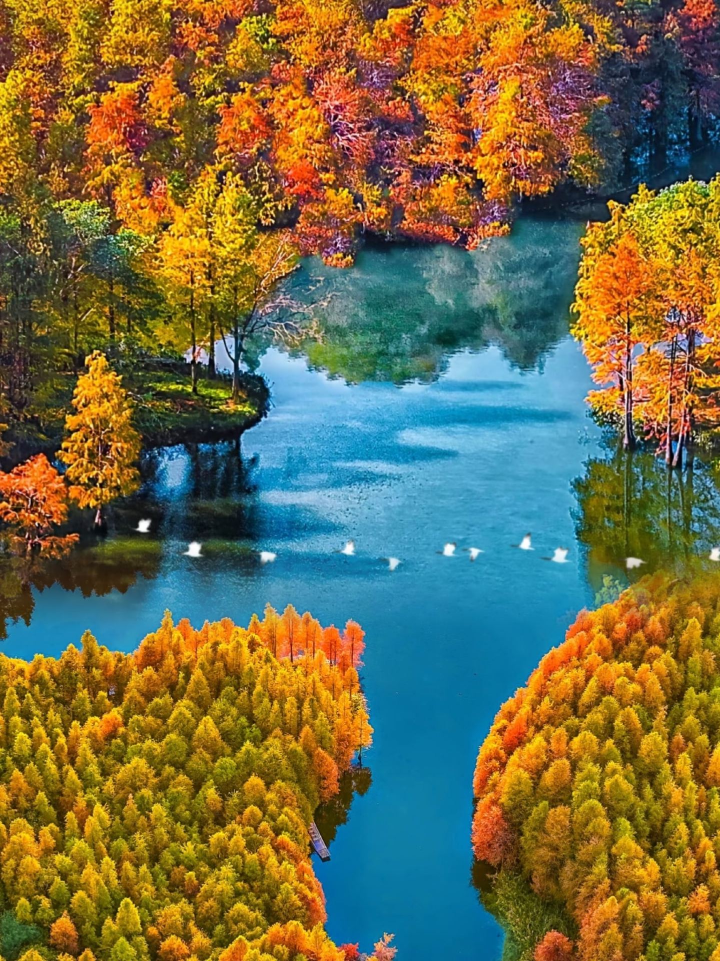 People from Jiangsu really keep secrets, hiding such a beautiful place without telling anyone～