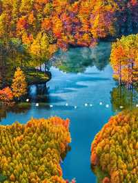 江蘇人嘴真嚴,這麼美的地方藏著不說~