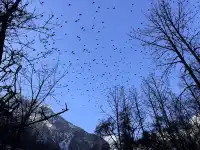 11月底，週末去海螺溝泡個溫泉