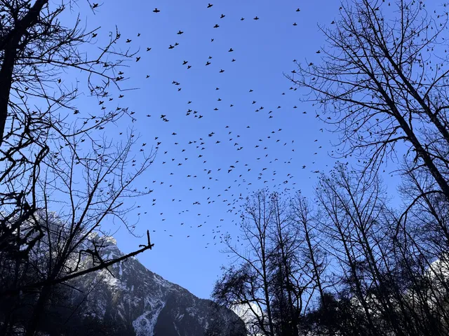 11月底，週末去海螺溝泡個溫泉