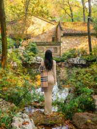 我願稱它為江浙滬打工人觸手可及的「週末療癒所」。